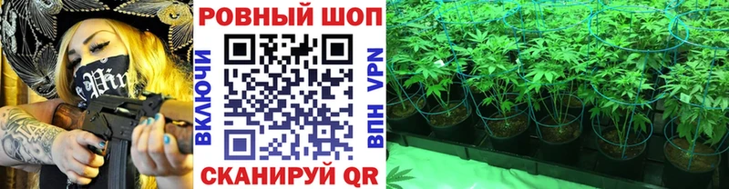 Как найти наркотики Будённовск Альфа ПВП  Конопля 