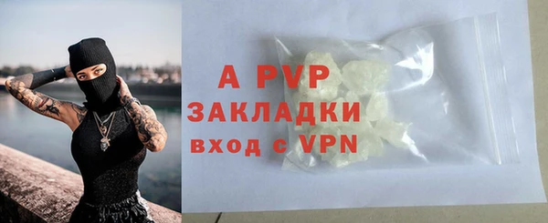 стаф Балахна