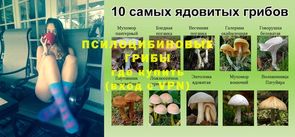 спиды Волоколамск