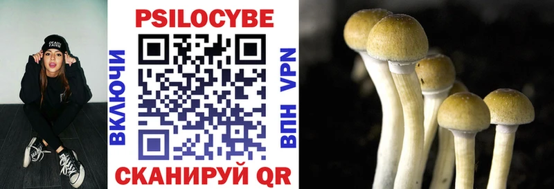 наркота  Будённовск  Псилоцибиновые грибы MAGIC MUSHROOMS 